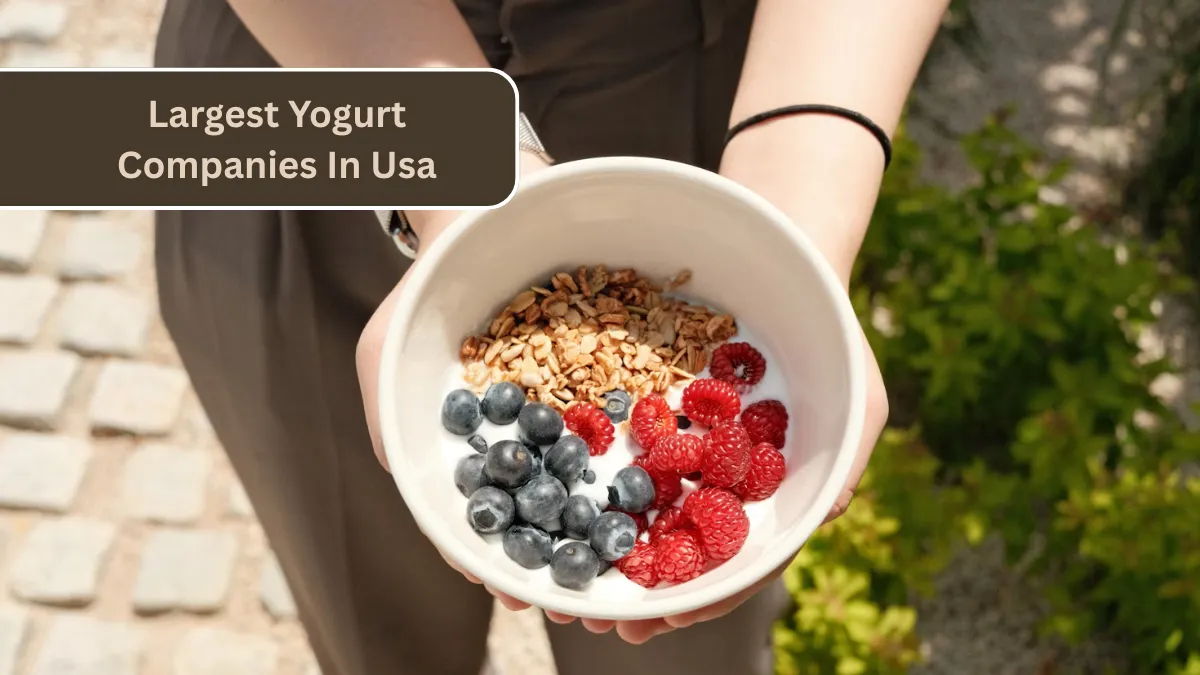 Top 10 Largest Yogurt Companies In Usa