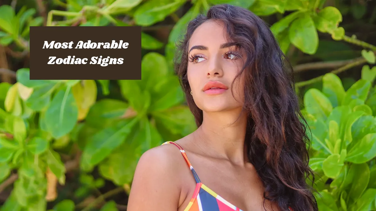 Zodiac Signs Are Best In Everything